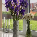 Patrick Krier - @krier418 - Instagram