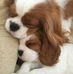 Patrick Krier - Facebook