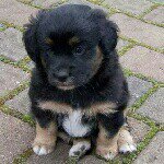 Patrick Marco kropp - @janniko_128 - Instagram