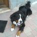 Patrik Kubin - Facebook