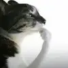 Patrik Kukla - @patrik.kukla - TikTok