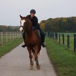 Patrick Kumpf - @patrickkumpf - Instagram