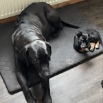 Paddy_74 - @patrickkunkler - Instagram