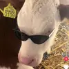 kkkkkkkkkkkkkkkkkjjj - @patrickkurevija2 - TikTok