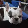 Patrick Kurz - @user067231907 - TikTok