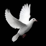 Patrick Kwofie - @patrick.kwofie.750 - Instagram