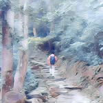 Patrick Kwok - @patrick_whkwok - Instagram
