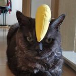 Patrick Kwok - @patrick_kwok_patrick - Instagram