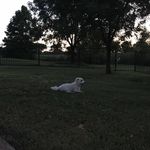 Patrick Kwon - @patrick.kwon - Instagram