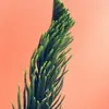 patrick.labanc - @patrick.labanc - TikTok