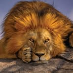 Patrick Lacour - Facebook
