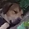 Patrick Laforest - @patrick.laforest8 - TikTok