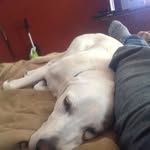 Patrick Lake - @mr.patrick.lake - Instagram