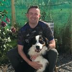 Patrick Lambe - @pa_lambe - Instagram