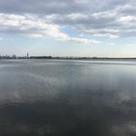 Patrick Lambe - @patricklambe78 - Instagram