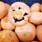 patrick Lançon - @moche_room - Instagram