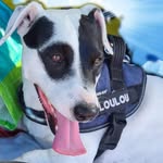 Patrick Lançon - @lanconpatrick17 - Instagram