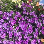 Patrick Landers - @landers1304 - Instagram