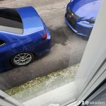 Patrick Landry - @st1ckygr33nz - Instagram