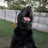 patricklane59 - @patricklane59 - TikTok
