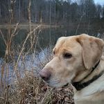Patrick Laney - @patlaney01 - Instagram