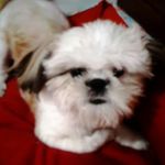 patrick lanius - @patrick_lanius - Instagram