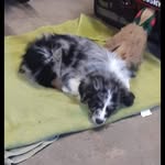 Patrick Lannon - @mehere641 - Instagram