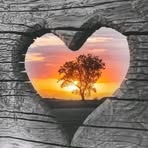 Patrick Laporte - Facebook