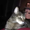 Patrick Larocque - @larocque.pat - TikTok
