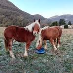 Patrick Larrieu - Facebook