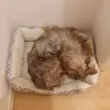 patricklarrieu15 - @patricklarrieu15 - TikTok