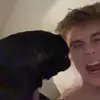 patrick larsen - @patrickblarsen - TikTok