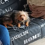 Patrick Larue - @larue510 - Instagram