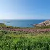Patrick Laruelle985 - @patricklaruelle59 - TikTok