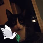 Patrick Lavergne - @lavergne759 - Instagram