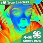Patrick Layne - @patrick_layne - Instagram