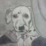 Patrick LeClaire - @patrickleclaire - Instagram