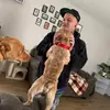Patrick Leggett - @patrickleggett0 - TikTok