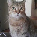 Patrick Lemaire - @patrick.lemaire.5011 - Instagram