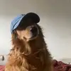 Patrick Lennox - @patrick.lennox - TikTok