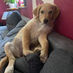 Patrick Lenz - Facebook