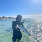 Patrick Lester - @plester44 - Instagram