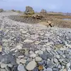 lettypatrick - @lettypatrick - TikTok