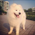 Patrick Levasseur - @patricklevasseur - Instagram