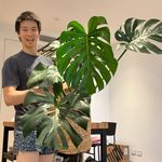 Patrick Lin - @paddygrowsplants - Instagram