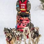 patrick lincoln hodgeman - @patricklincolnhod - Instagram