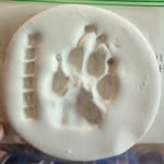 Patrick Linkous - @palinkous - Instagram