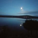 Patricia Linscott - @patricia.linscott.7 - Instagram