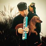 Patrick Liotta - @23monkeys - Instagram