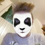 Patrick Lippert - @paddel_der_echte - Instagram